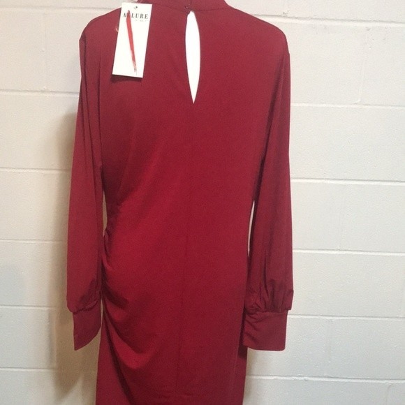 Allure Mesh Insert Shift Dress - NWT Xlg. - Picture 5 of 7